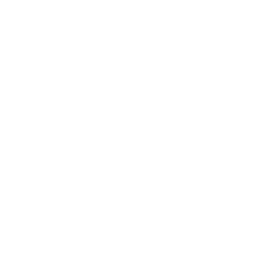 Orcid Icon